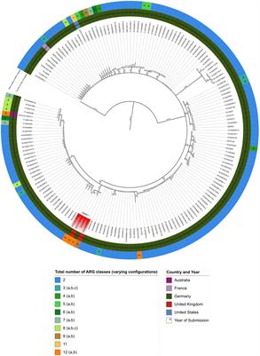 Genetic characterization of a multidrug-resistant Salmonella enterica serovar Agona isolated from a dietary supplement in Germany
